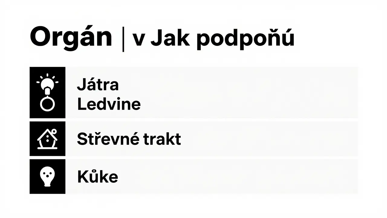 Přehledná tabulka v češtině shrnující funkce klíčových orgánů při odbourávání hormonů a praktické tipy, jak jejich práci optimalizovat stravou a hygienou.